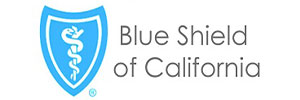 blue shield : Brand Short Description Type Here.